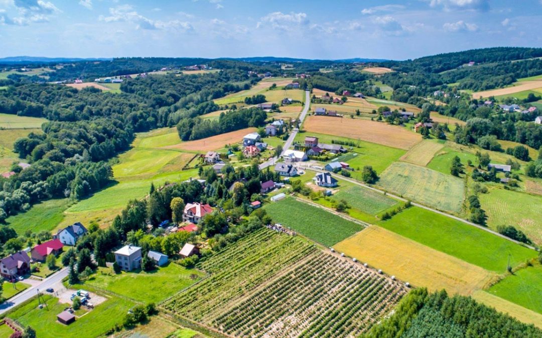 Winnica Piwnice Antoniego