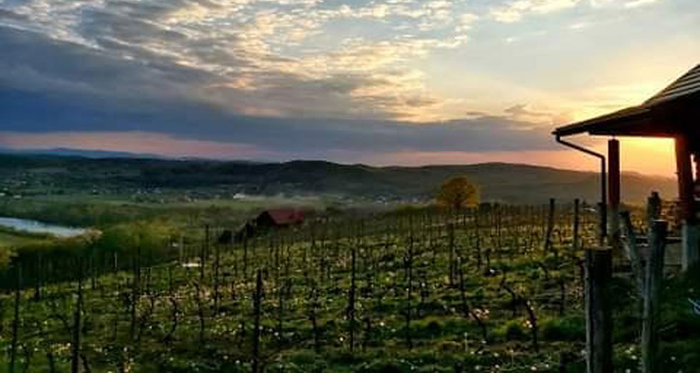 Winnica Uroczysko