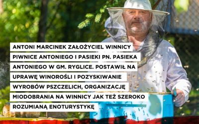 Winnica Piwnice Antoniego