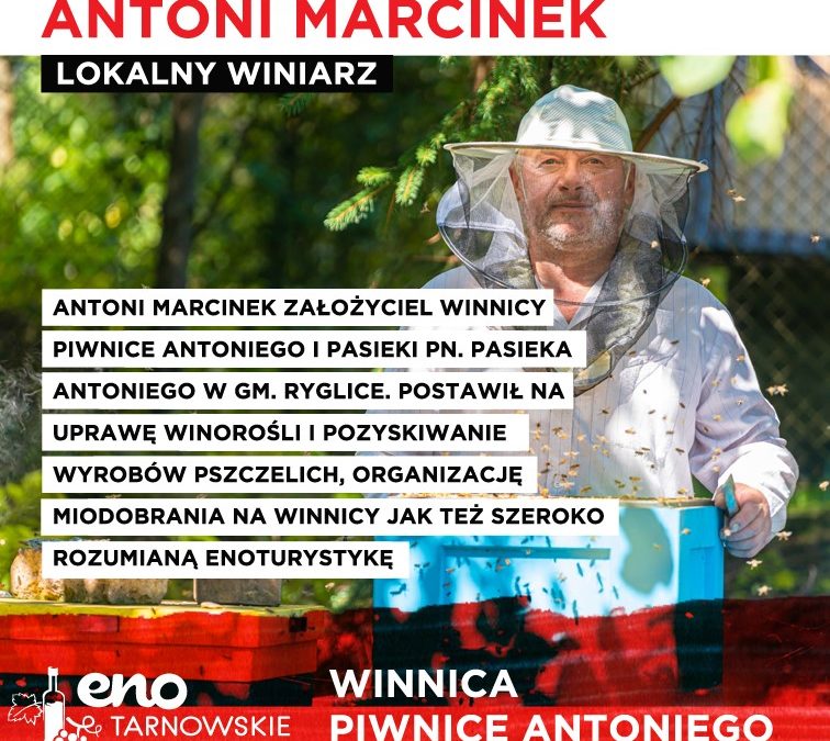 Winnica Piwnice Antoniego
