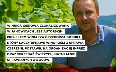 Winnica Gierowa