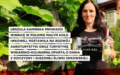 Winnica Nowizny