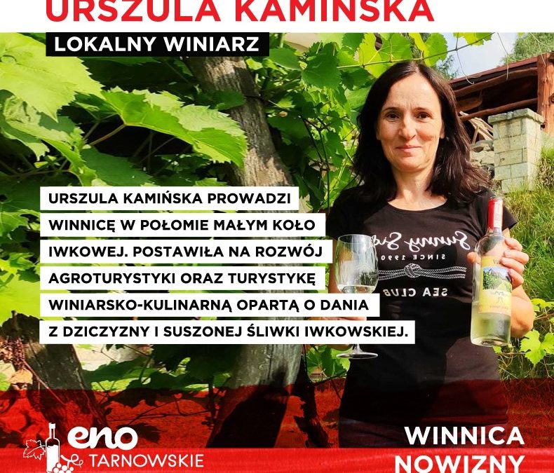 Winnica Nowizny